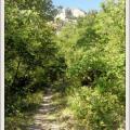 Sentier du Pas Parandier