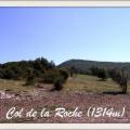 Col de la Roche (1314 m)