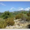 Le Vieux Noyers